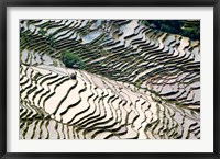 Flooded Bada Rice Terraces, Yuanyang County, Yunnan Province, China Fine Art Print