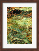Geological map, Museum of Natural Science, Texas Fine Art Print