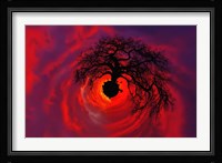 African baobab tree silhouetted at sunset, , Tarangire National Park, Tanzania Fine Art Print