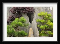 Bao's Family Garden, Huangshan, China Fine Art Print