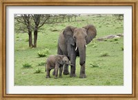 Female African Elephant with baby, Serengeti National Park, Tanzania Fine Art Print
