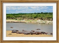 Hippopotamus, Mara River, Serengeti NP, Tanzania Fine Art Print