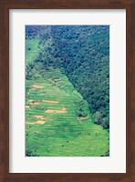 Abutting Agricultural Development, Uganda Fine Art Print