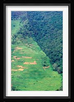 Abutting Agricultural Development, Uganda Fine Art Print