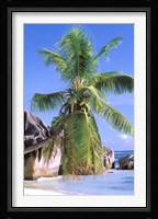 Granite Outcrops, La Digue Island, Seychelles, Africa Fine Art Print