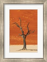 Dead tree, sand dunes, Deadvlei, Namib-Naukluft National Park, Namibia Fine Art Print