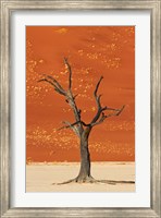 Dead tree, sand dunes, Deadvlei, Namib-Naukluft National Park, Namibia Fine Art Print