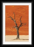 Dead tree, sand dunes, Deadvlei, Namib-Naukluft National Park, Namibia Fine Art Print