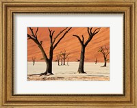 Dead trees with sand dunes, Namibia Fine Art Print