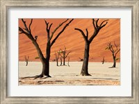 Dead trees with sand dunes, Namibia Fine Art Print