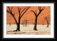 Dead trees with sand dunes, Namibia Fine Art Print