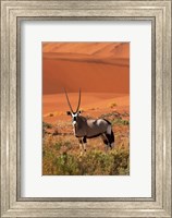 Gemsbok and sand dunes, Namib-Naukluft National Park, Namibia Fine Art Print