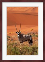 Gemsbok and sand dunes, Namib-Naukluft National Park, Namibia Fine Art Print
