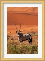 Gemsbok and sand dunes, Namib-Naukluft National Park, Namibia Fine Art Print