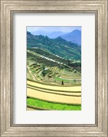 China, Yunnan, Yuanyang Co, Rice Terraces, Mount Ailo Fine Art Print