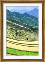 China, Yunnan, Yuanyang Co, Rice Terraces, Mount Ailo Fine Art Print