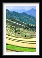 China, Yunnan, Yuanyang Co, Rice Terraces, Mount Ailo Fine Art Print