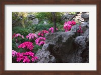 Flowers and Rocks in Traditional Chinese Garden, China Fine Art Print