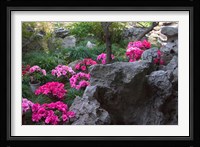 Flowers and Rocks in Traditional Chinese Garden, China Fine Art Print