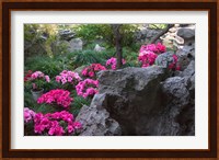 Flowers and Rocks in Traditional Chinese Garden, China Fine Art Print