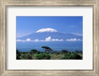 Africa, Tanzania, Mt Kilimanjaro, landscape and zebra Fine Art Print
