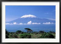 Africa, Tanzania, Mt Kilimanjaro, landscape and zebra Fine Art Print