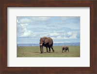 African baby elephant with mother, Masai Mara Game Reserve, Kenya Fine Art Print