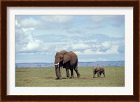 African baby elephant with mother, Masai Mara Game Reserve, Kenya Fine Art Print