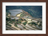 Flooded Rice Terraces of Honghe, China Fine Art Print
