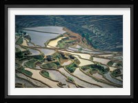 Flooded Rice Terraces of Honghe, China Fine Art Print