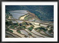 Flooded Rice Terraces of Honghe, China Fine Art Print