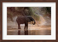 Elephant at Water Hole, South Africa Fine Art Print