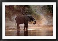 Elephant at Water Hole, South Africa Fine Art Print
