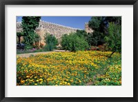 Gardens and Crenellated Walls of Kasbah des Oudaias, Morocco Fine Art Print