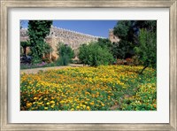 Gardens and Crenellated Walls of Kasbah des Oudaias, Morocco Fine Art Print