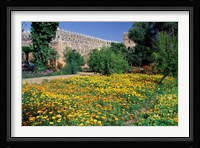 Gardens and Crenellated Walls of Kasbah des Oudaias, Morocco Fine Art Print