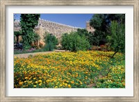 Gardens and Crenellated Walls of Kasbah des Oudaias, Morocco Fine Art Print