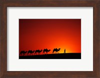 Camel Caravan at Sunrise, Silk Road, China Fine Art Print