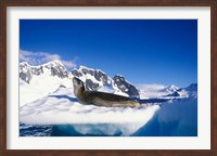 Antarctica, Boothe Island, Leopard Seal, iceberg Fine Art Print