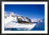 Antarctica, Boothe Island, Leopard Seal, iceberg Fine Art Print