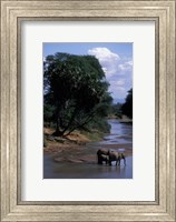 Elephant Herd Along Uaso Nyiro River, Samburu National Reserve, Kenya Fine Art Print