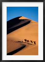 Camel Caravan with Sand Dune, Silk Road, China Fine Art Print