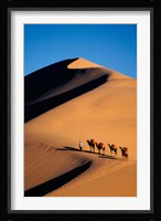 Camel Caravan with Sand Dune, Silk Road, China Fine Art Print