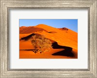 Elim Dune Overcomes, Sesriem, Namib Naukluft Park, Namibia Fine Art Print