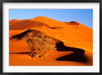 Elim Dune Overcomes, Sesriem, Namib Naukluft Park, Namibia Fine Art Print