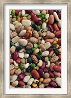 Colorful dried bean soup mixture, cuisine Fine Art Print