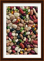 Colorful dried bean soup mixture, cuisine Fine Art Print
