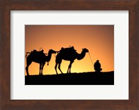 Camel Caravan Silhouette at Dawn, Silk Road, China Fine Art Print