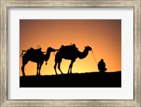 Camel Caravan Silhouette at Dawn, Silk Road, China Fine Art Print