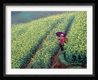 Chinese Woman Walking in Field of Rapeseed near Ping' an Village, Li River, China Fine Art Print